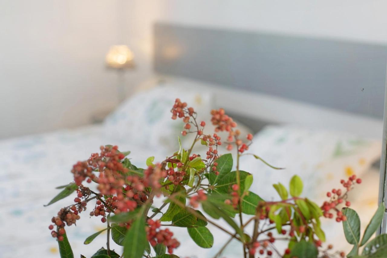 Jardin Del Sol 2 Διαμέρισμα Πλάγια Μπλάνκα Εξωτερικό φωτογραφία